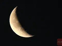 菲尼克斯太阳今晨内部沟通，志在荷甲名次提升，震撼外界，医务组通报恢复 